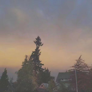 玩弄极品人妻杨幂
